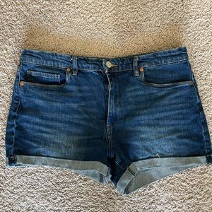 Blank NYC Size 31 Denim Shorts